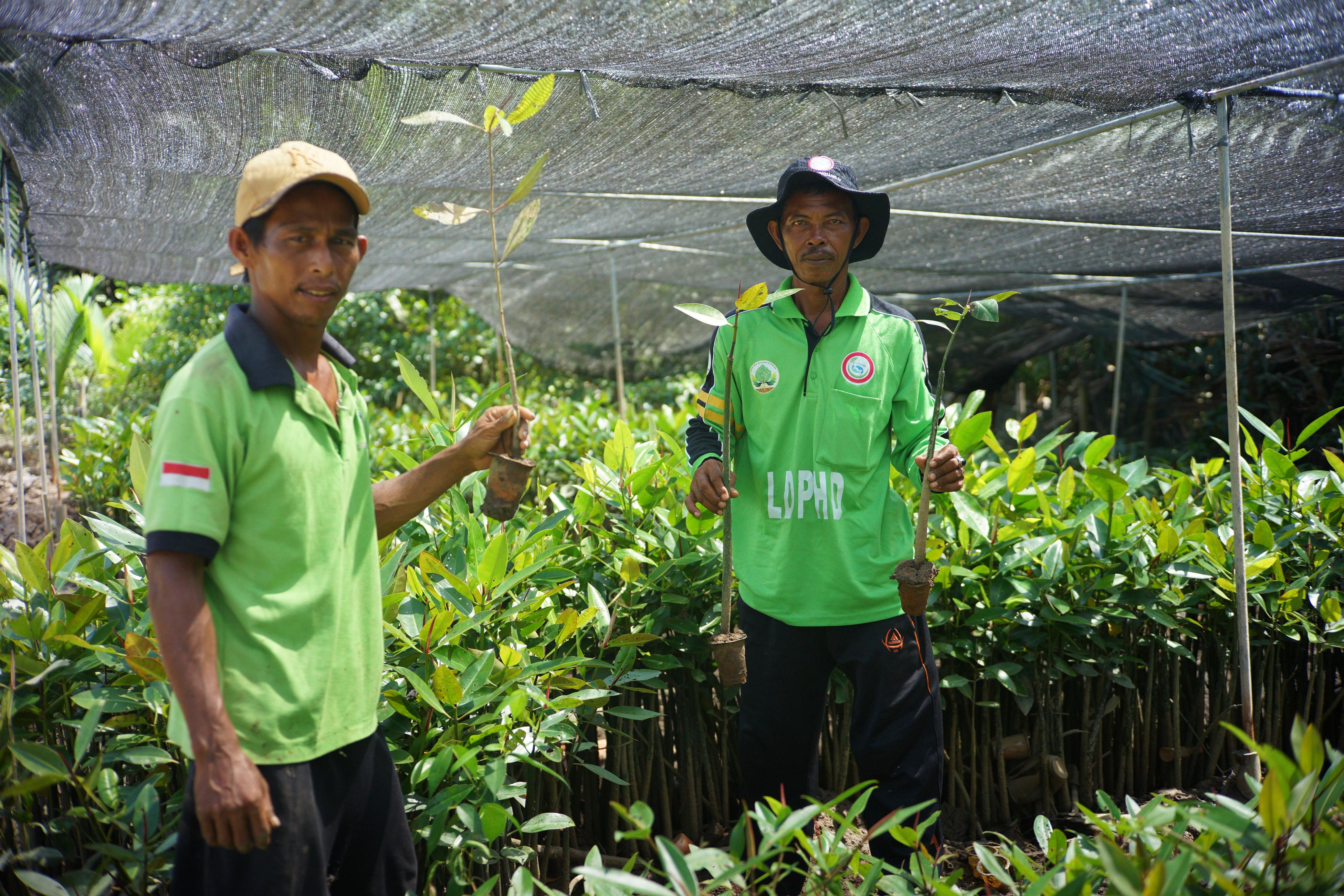 Konservasi Mangrove Berbasis Masyarakat